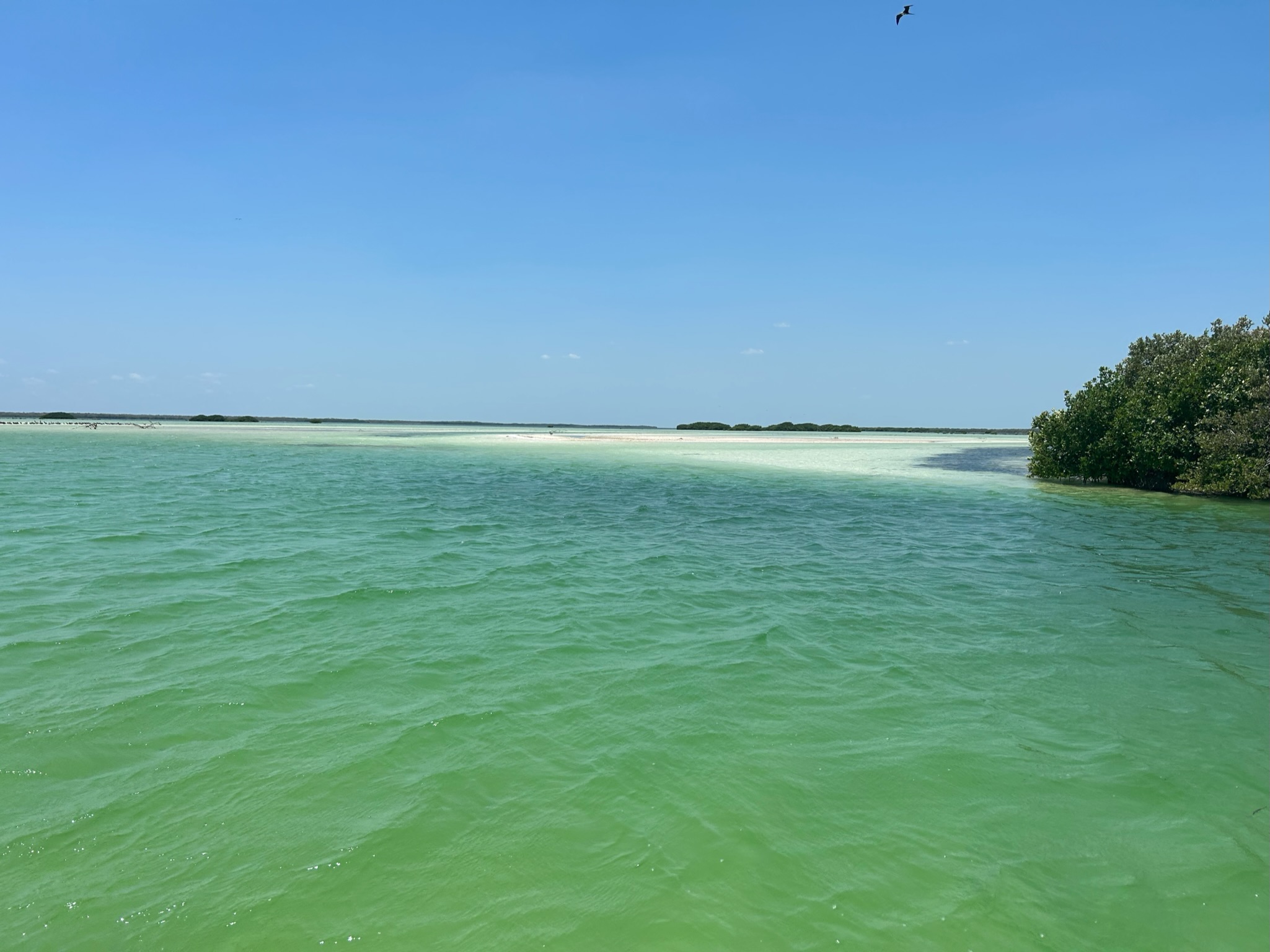 Tour Azul Tourquesa Cabo Catoche Holbox Mexico 8 Tour Azul Tourquesa Cabo Catoche Holbox Mexico