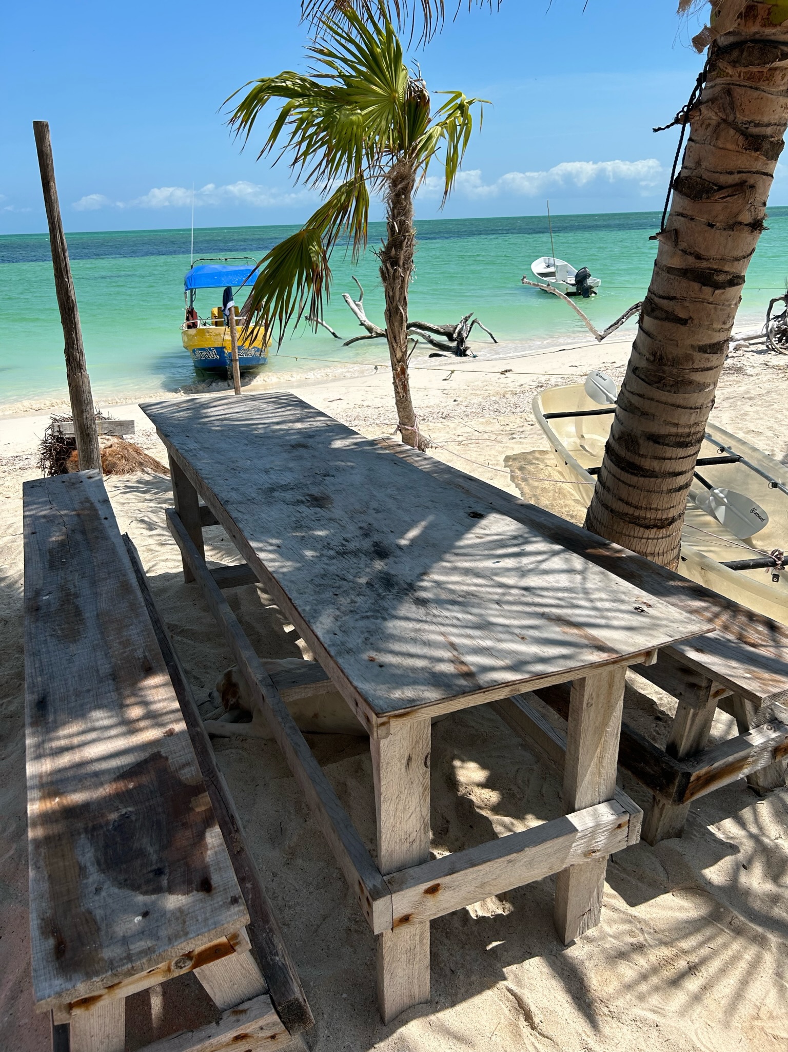 Tour Azul Tourquesa Cabo Catoche Holbox Mexico 6 Tour Azul Tourquesa Cabo Catoche Holbox Mexico