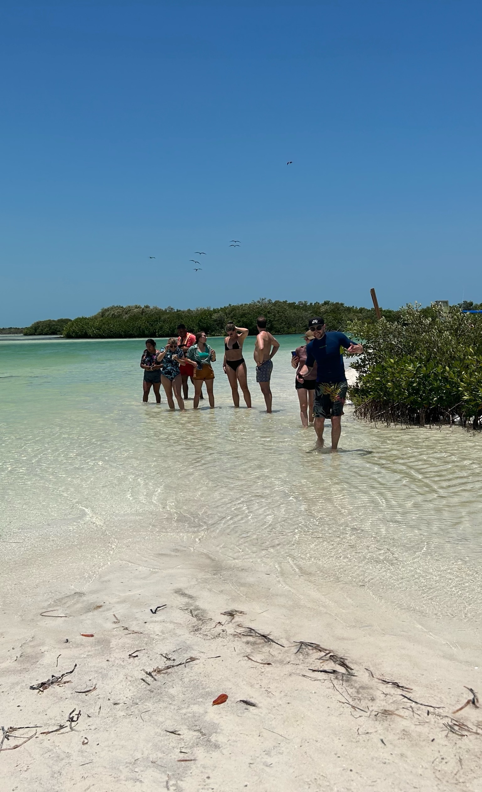 Tour Azul Tourquesa Cabo Catoche Holbox Mexico 7 Tour Azul Tourquesa Cabo Catoche Holbox Mexico