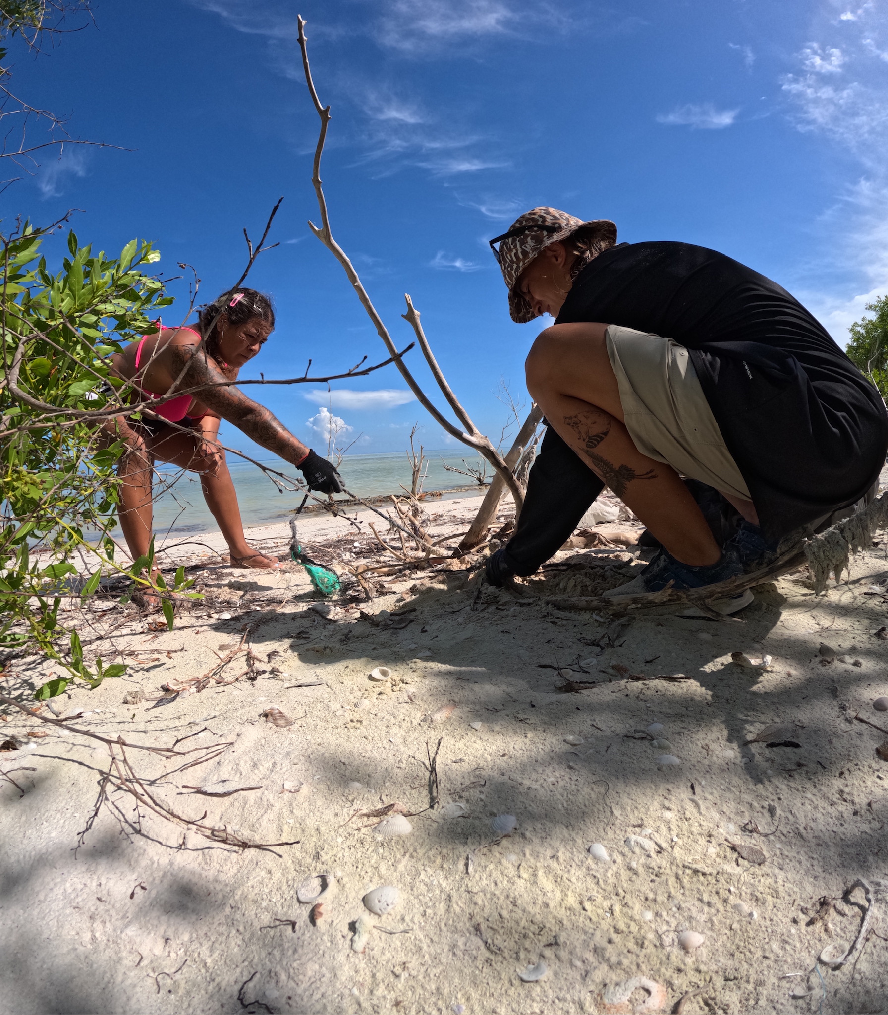 DCIM100GOPROGOPR0142.JPG DCIM100GOPROGOPR0142.JPG