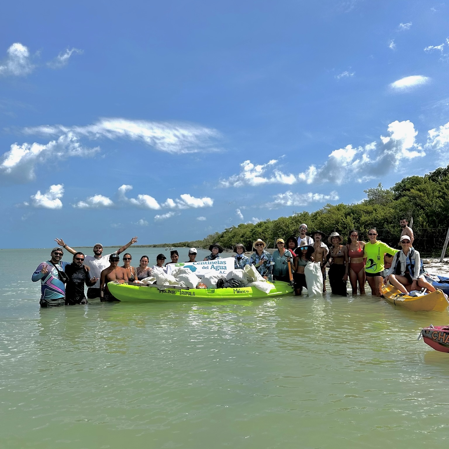 portada limpieza portada limpieza