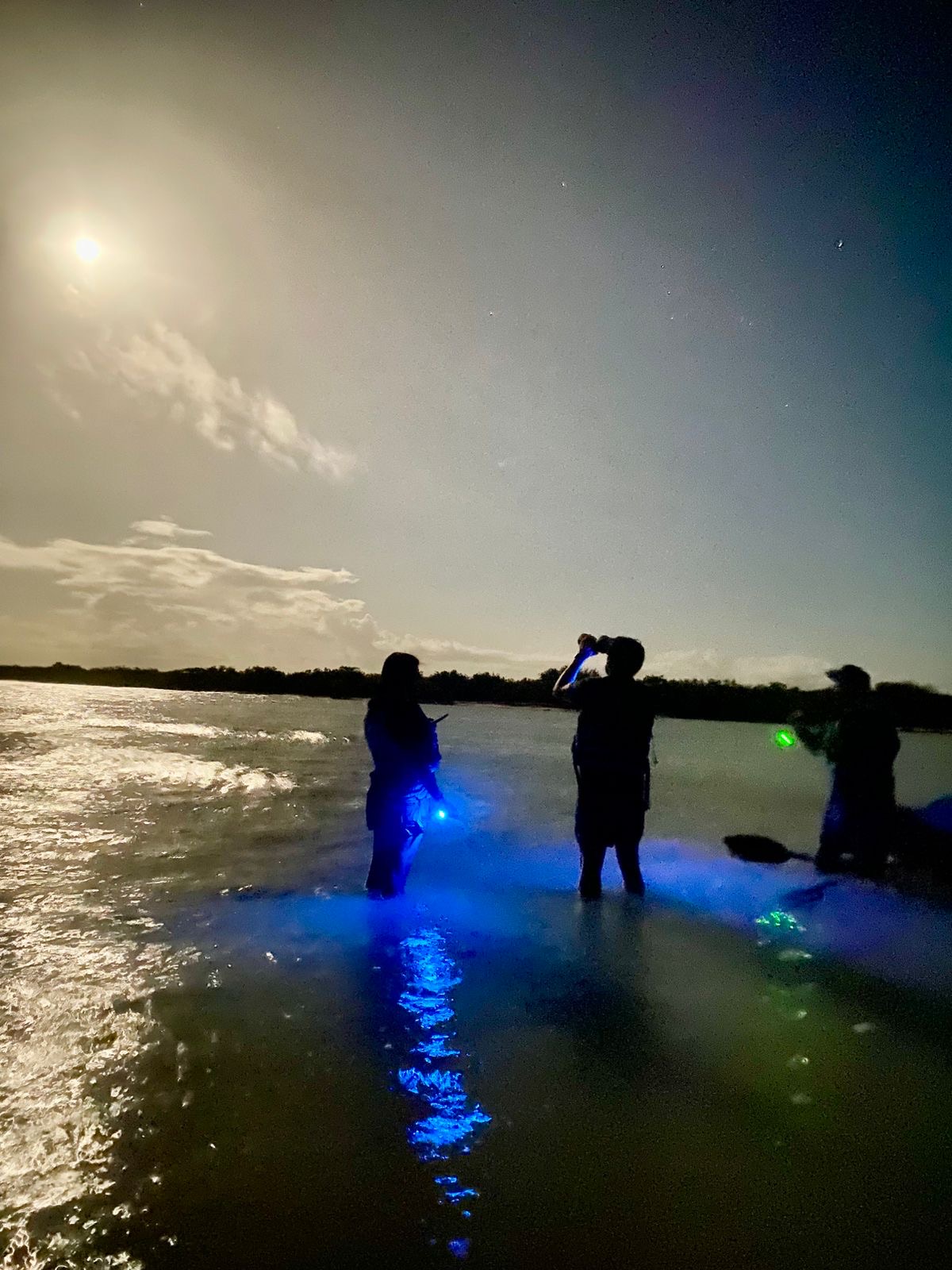 dd4cafdc-3cf4-43df-b666-7b728c1c6034